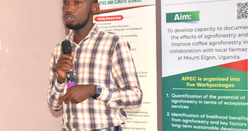 Exploring Opportunities in Coffee Agroforestry: My AfPEC PhD Journey