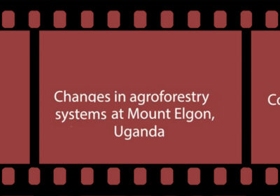 Agroforestry for People, Ecosystems, and Climate