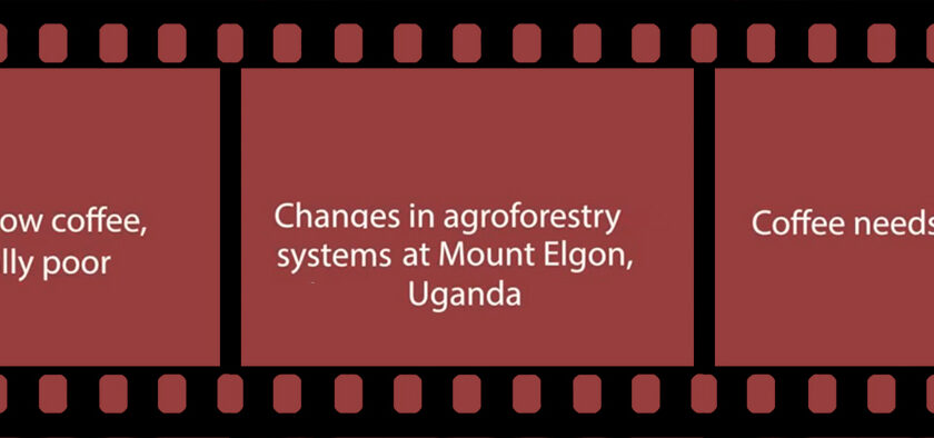 Agroforestry for People, Ecosystems, and Climate