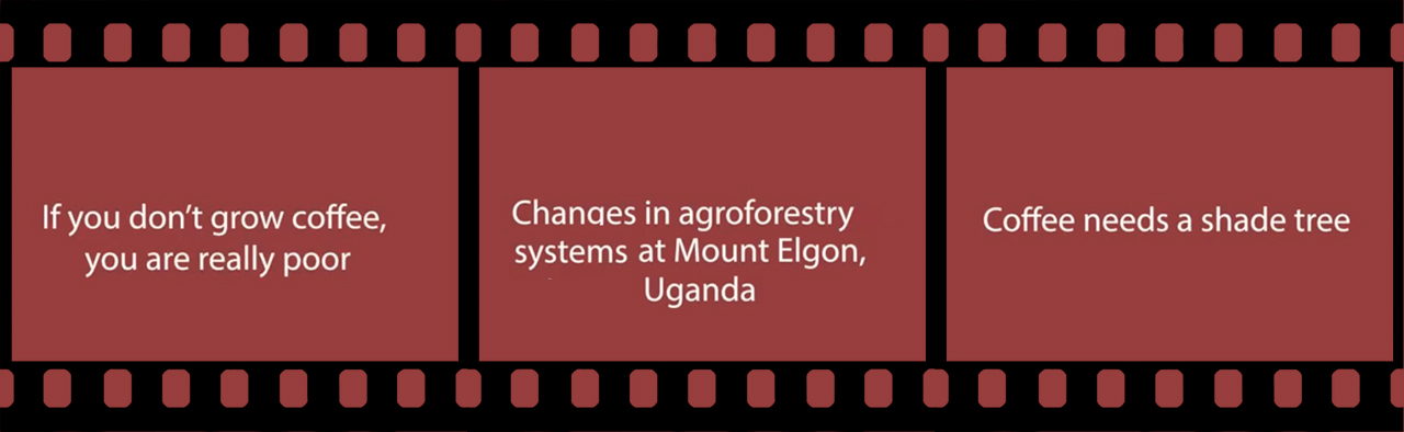 Agroforestry for People, Ecosystems, and Climate
